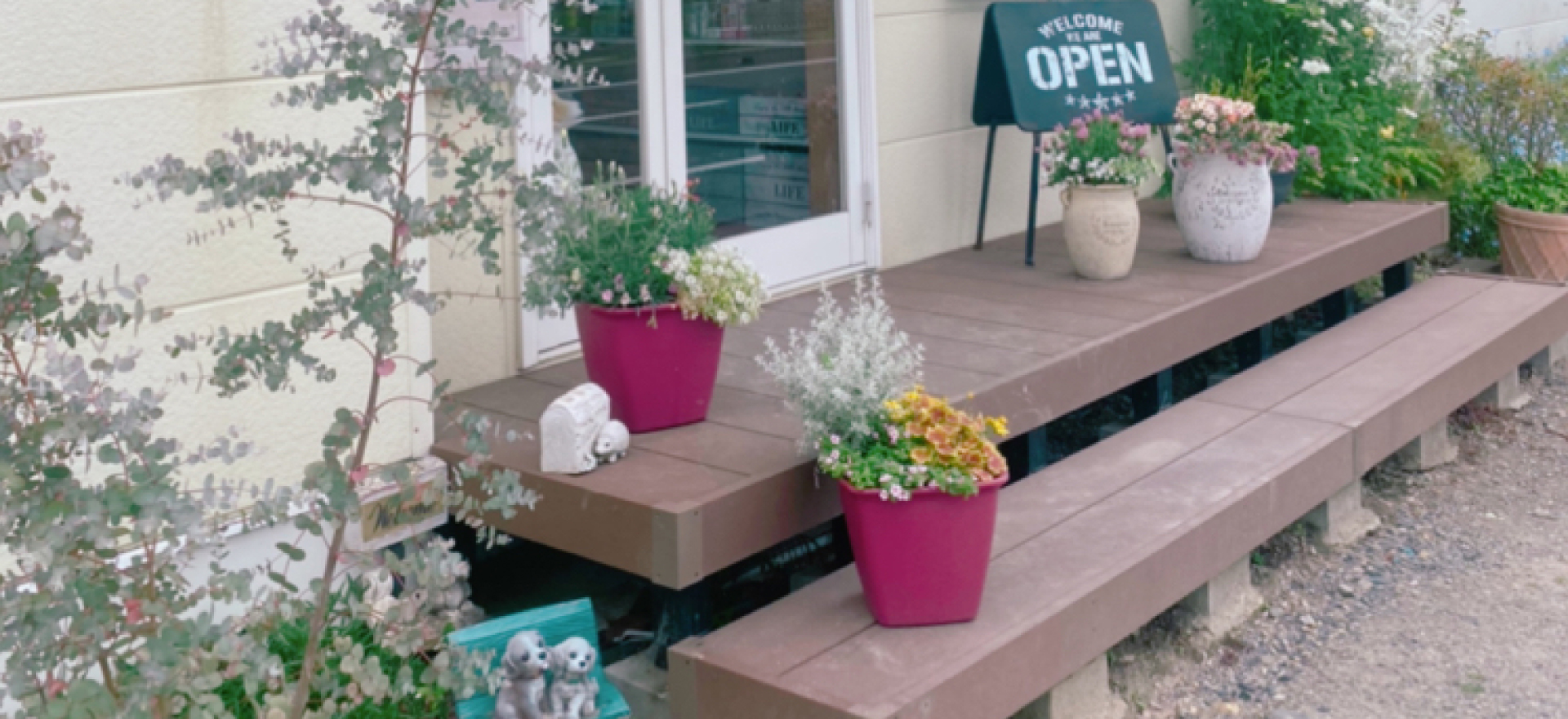 わんちゃんのペースを大切に