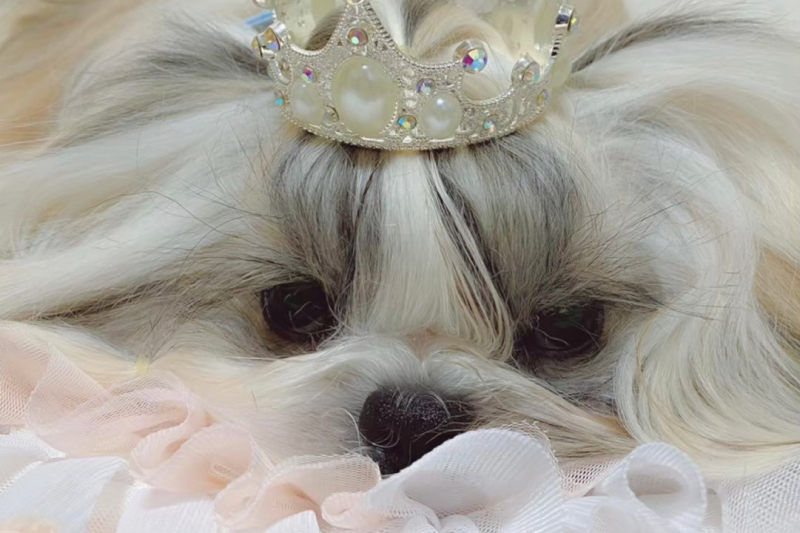 少人数制トリミング